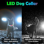 PawLight™ - afbeelding 6