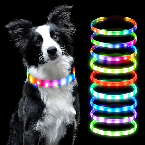 PawLight™ - afbeelding 1