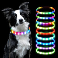 PawLight™ - afbeelding 1